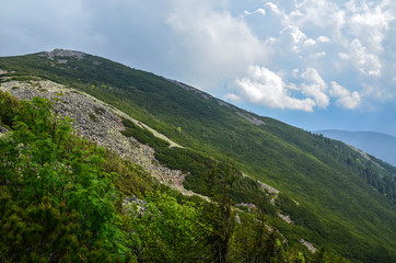 Obraz premium View of the traditional Gorgany mountain landscape in the Carpathians, Ukraine. 