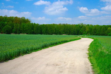 Meadows and forests near the river Vltava