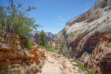 hiking west rim trail in zion national park, usa