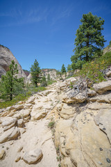 hiking west rim trail in zion national park, usa