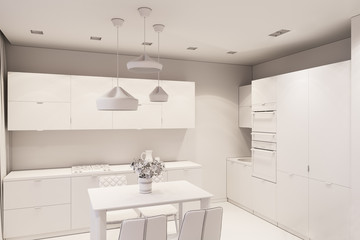 3d render Interior design in Scandinavian style, living room and kitchen