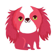 little hair red dog domestic sitting cartoon pets