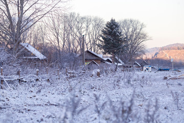 The village of Latin American Old Believers who returned to Russia in the Primorsky Territory....