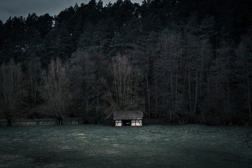 wooden cabin in the forest and green gras dark
