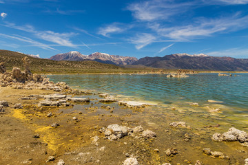 Mono Lake, rock formations and vegetation, California, USA.