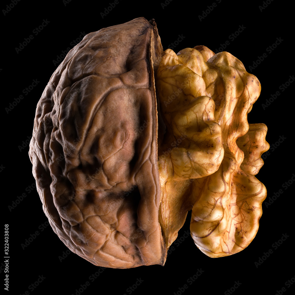 Sticker macro photo of half opened walnut with kernel isolated on a black background