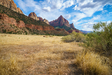 the watchman from parus trail in zion national park, usa