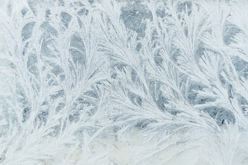 Frosty pattern on the window, similar to the branches of trees.
