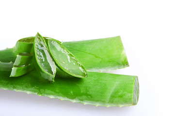 Fototapeta premium Fresh green Aloe Vera slices isolated on white background. Herbal medicine