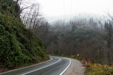 Bending wet road among the hills.