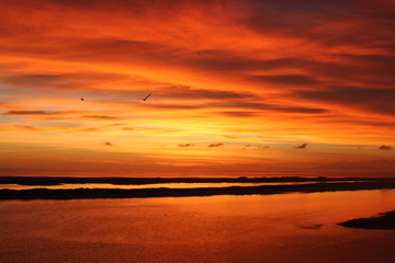 Amazing Sunset & Daytime Coastal Picture that`ll make your day!