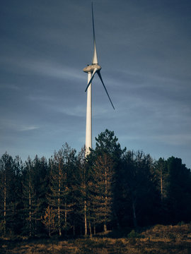 wind turbine, trees and blue sky