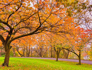 Sunny autumn day in the park