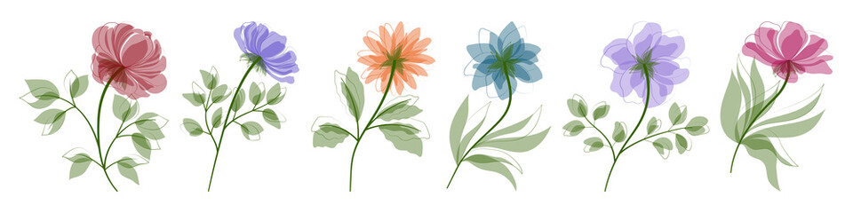 Beautiful  flowers isolated on white background.  Vector illustration. EPS 10