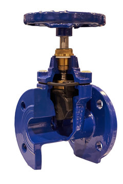 The image of the valve. Isolated on white.