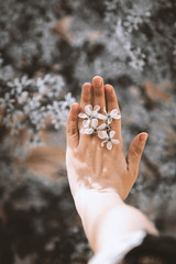 Woman holds spring tree blossoms