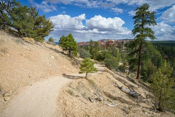 hiking the rim trail in bryce canyon national park, utah, usa