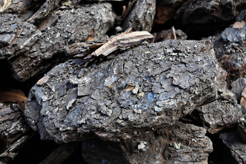 A stack of dry lignite coal ready for heating      