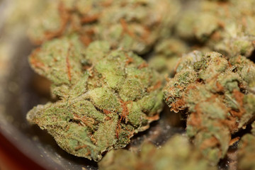 Cannabis medical AMG skunk macro background stock photography prints