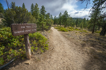 hiking the rim trail in bryce canyon national park, utah, usa