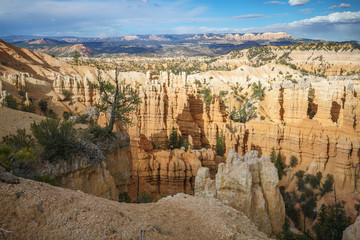 hiking the rim trail in bryce canyon national park, utah, usa