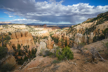 hiking the rim trail in bryce canyon national park, utah, usa