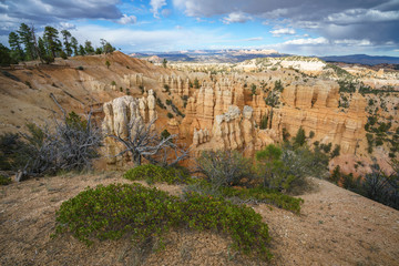 hiking the rim trail in bryce canyon national park, utah, usa