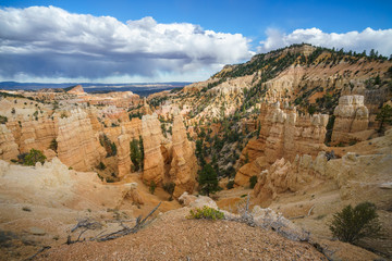 hiking the rim trail in bryce canyon national park, utah, usa