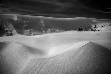 Dunas en Tarifa,cadiz