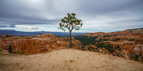 hiking the rim trail in bryce canyon national park in utah in the usa