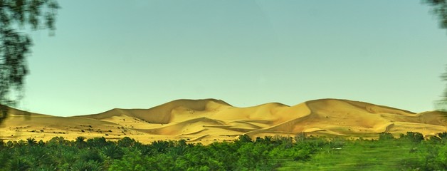 Dünenlandschaft in der Wüste