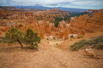 hiking the rim trail in bryce canyon national park in utah in the usa