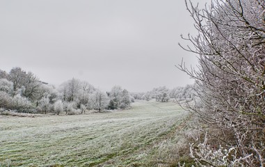 Wintertage im Bliesgau