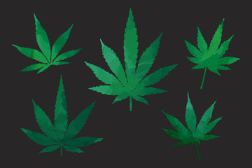 Fototapeta na wymiar Cannabis green leaves silhouettes, elements set isolated. Basis graphics on white background