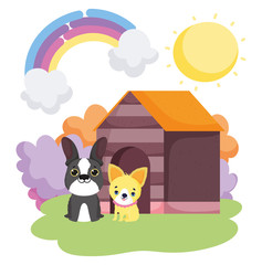 dogs sitting front wooden house landscape pets