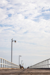People fishing from seaside pier