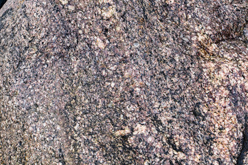 Sea stone texture. Panel texture. Spots gray red background. Background fill. Natural stone background.