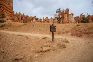 hiking the navajo loop in bryce canyon national park in utah in the usa