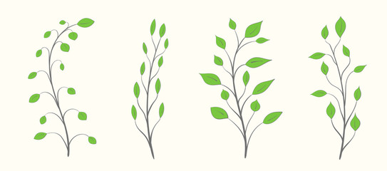 Set of tree branches with green leaves, different sizes and shapes