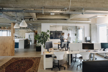 Two businessmen talking in office