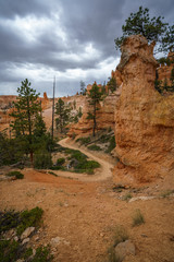 hiking the peek-a-boo loop in bryce canyon in utah in the usa