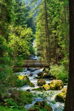 Italy, Trentino, Genova Valley, Forest with Sarca river and footbridge
