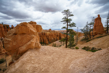 hiking the peek-a-boo loop in bryce canyon in utah in the usa