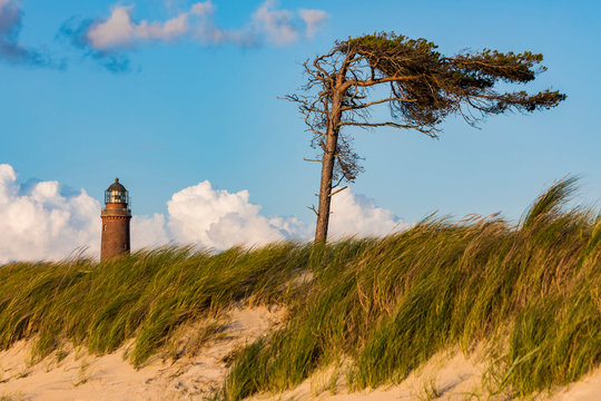 Germany,?Mecklenburg-Western Pomerania, Prerow, Grassy beach with Darsser Ort lighthouse in background