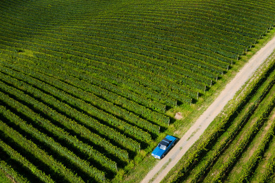  Foto De Drone De Carro Antigo Em Plantação De Uvas No Vale Dos Vinhedos 