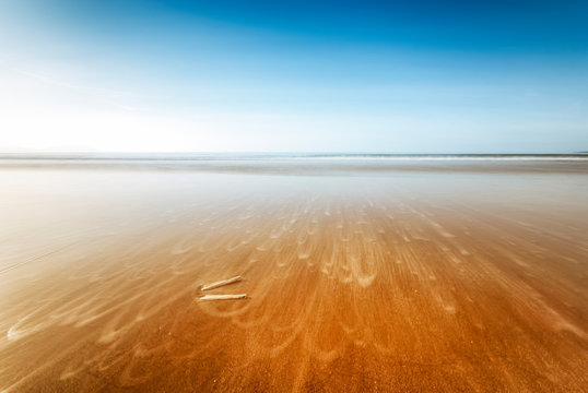 UK, Scotland, Poolewe, Razor shells (Ensis arcuatus) lying on Red Point Beach