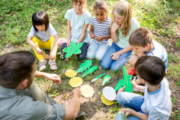 School children learning to to distinguish different leaf shapes
