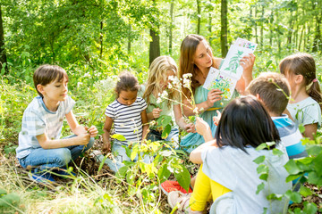 School children learning to recognize plants in nature