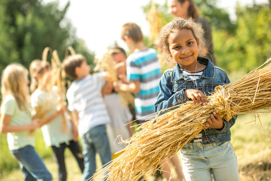 Children helping to harvest wheat, little girl holding bundle of ears