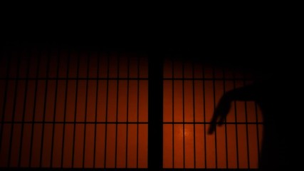 Slow motion of Japanese geisha or maiko silhouette behind sliding paper doors with colorful backlighting practicing or doing dance performance, dancing at night in wooden traditional house interior